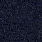 RAL 5004